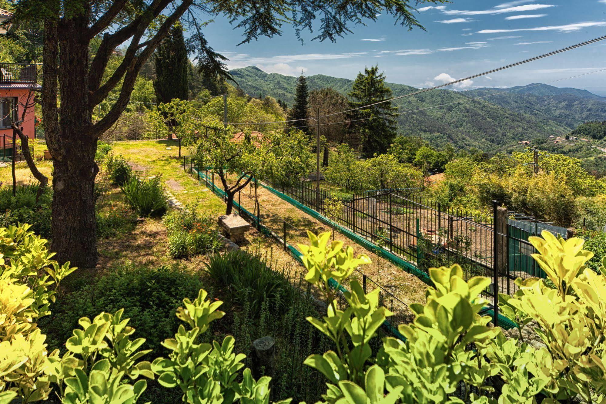 Oasi Verde Castiglione Chiavarese Exterior photo