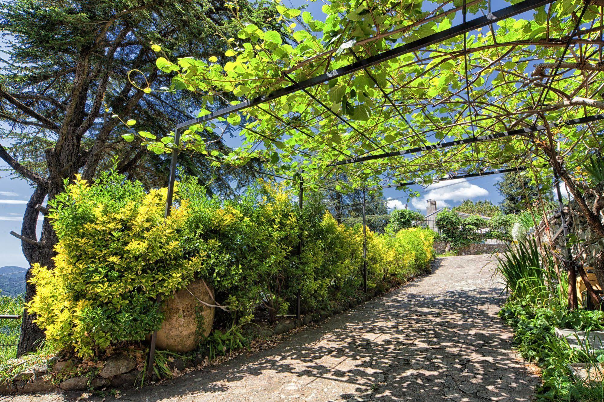 Oasi Verde Castiglione Chiavarese Exterior photo